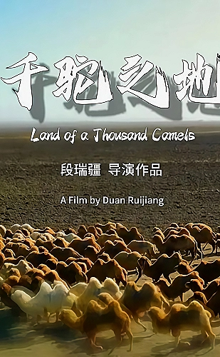 月光落在肩上海报