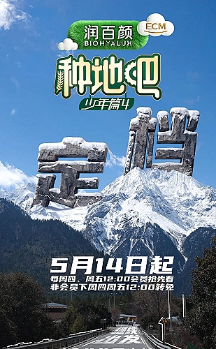 春风有信海报